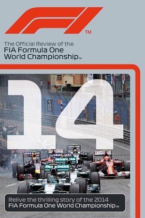 Image F1 Review 2014