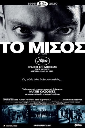 Poster Το Μίσος 1995