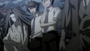 The Afterglow of Youth | StreamHub