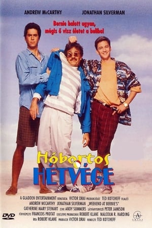 Poster Hóbortos hétvége 1989