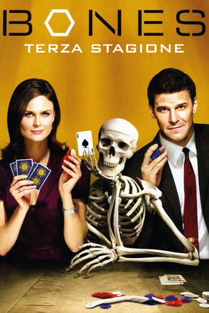 Bones: Stagione 3