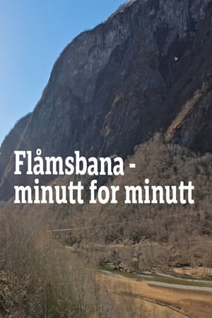 Poster Flåmsbana – minutt for minutt 2010