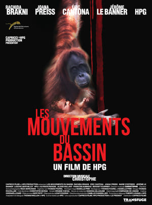 Poster Les Mouvements du bassin 2012
