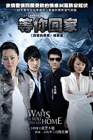 Affiche de Waits for you to go home