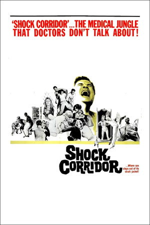 Постер фильма «Шоковый коридор (1963)» — (14 из 43)
