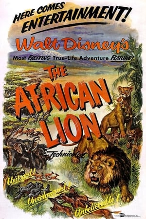 The African Lion poster