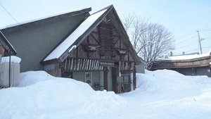 Journeys in Japan: 11×10