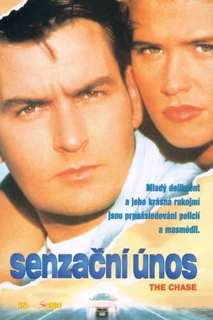 Poster Senzační únos 1994