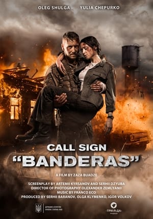 Poster Call Sign "Banderas" (2018)