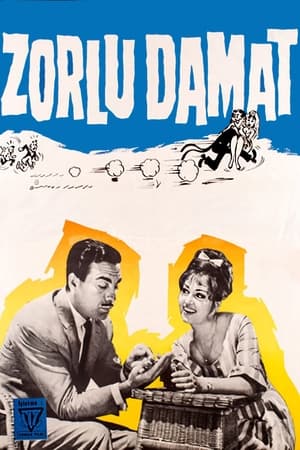 Poster Zorlu Damat 1962