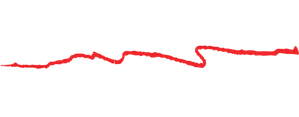 Roadkill Garage