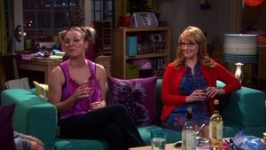 The Big Bang Theory 4 x Episodio 8