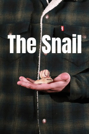 The Snail 3