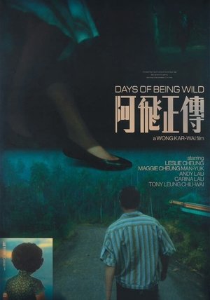 Image Days of Being Wild