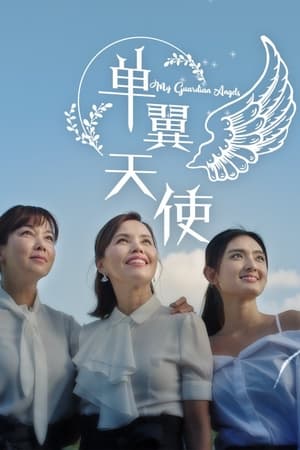 Poster 单翼天使 2020