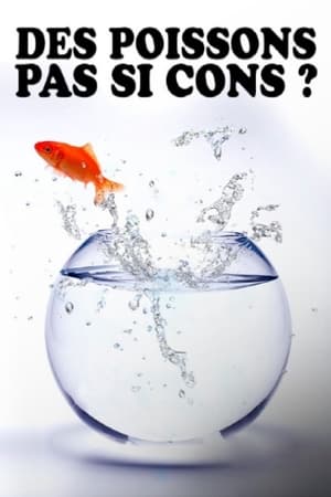 Image Des poissons, pas si cons ?