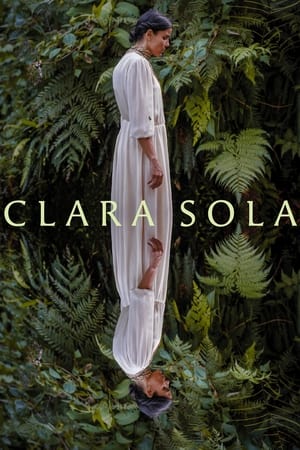 Poster Clara Sola 2021