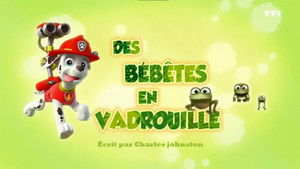 Paw Patrol Helfer auf vier Pfoten: 4×7