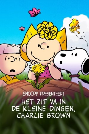 Image Snoopy presenteert: het zit 'm in de kleine dingen, Charlie Brown