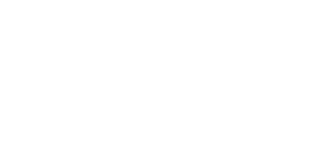 Bad Dog!