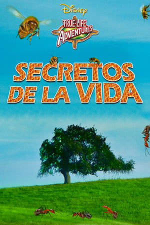 Secretos de la vida