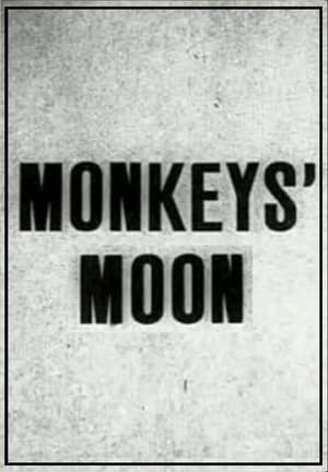 Image Monkey's Moon