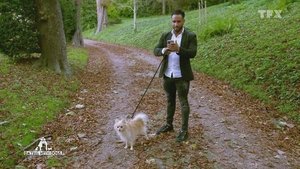 Dating with dogs : L'Amour, mon Chien et Moi Season 1 : Episode 2 