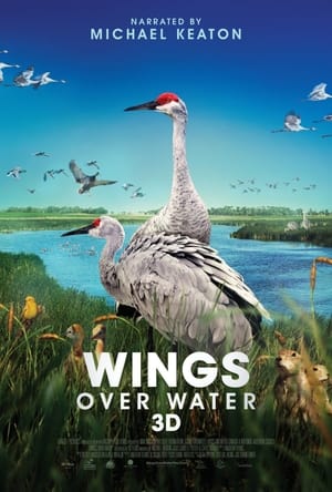 Poster Wings Over Water (2022)