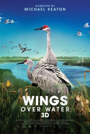 Poster Wings Over Water 2022