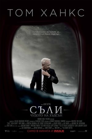 Poster Съли: Чудото на Хъдсън 2016