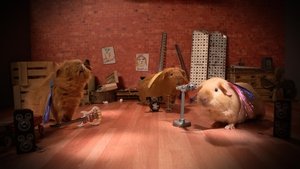 Cochon dingue: 1×21