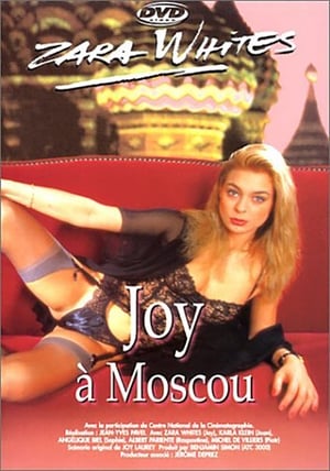 Joy in Moscow poster