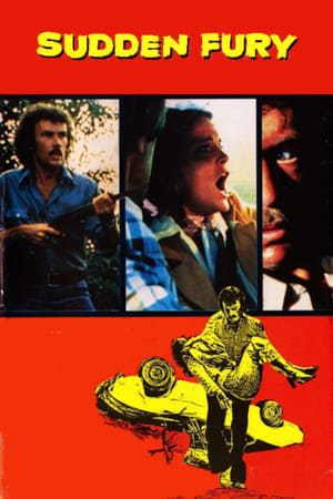 Poster Sudden Fury 1975