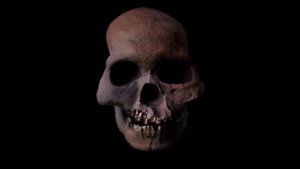 Enigma Man: A Stone Age Mystery (2014)