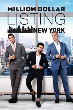 Million Dollar Listing New York: Seizoen 8