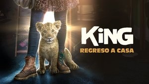 King: Mój przyjaciel lew cały film