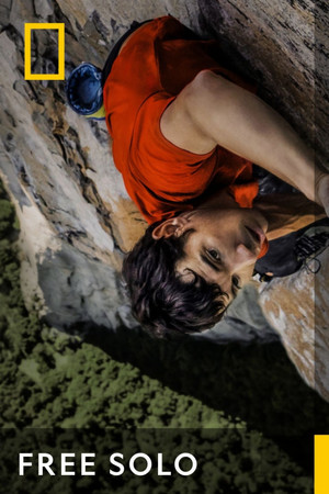 poster Free Solo