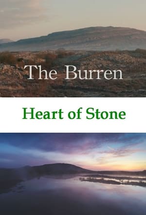 The Burren: Heart of Stone (2021) | Team Personality Map