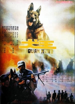 Poster Dog King (1993)
