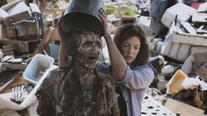 The Walking Dead: Season 9 Episode 4 – The Obliged