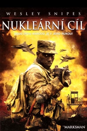 Poster Nukleární cíl 2005