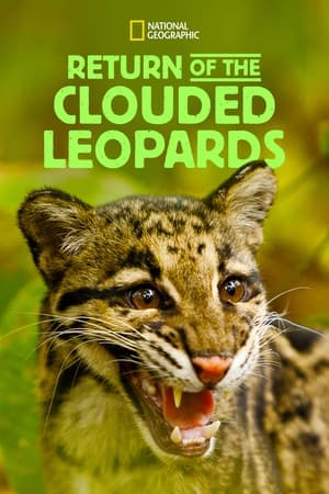 Poster Return of the Clouded Leopards (2012)