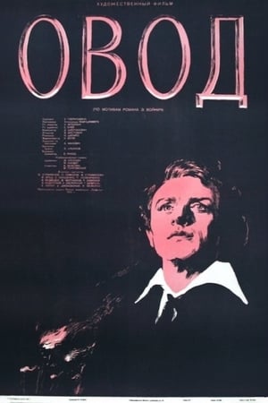 The Gadfly poster