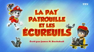 Paw Patrol Helfer auf vier Pfoten: 6×33