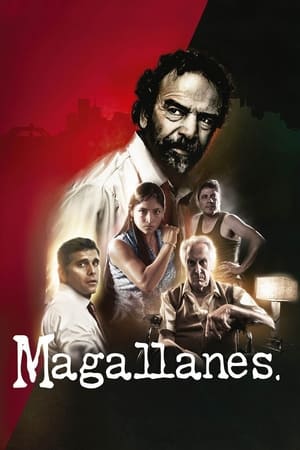 Poster Magallanes 2015