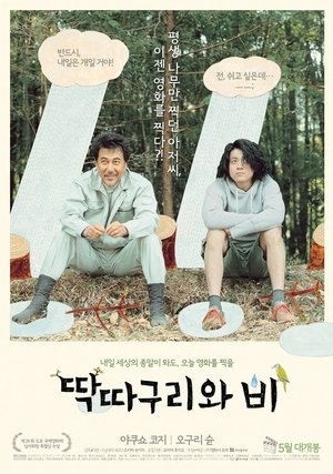 Image 딱따구리와 비