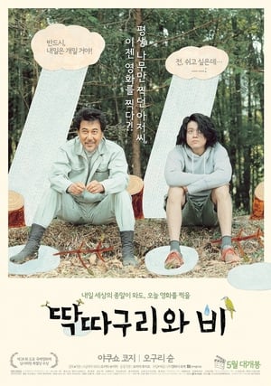 Poster 딱따구리와 비 2012