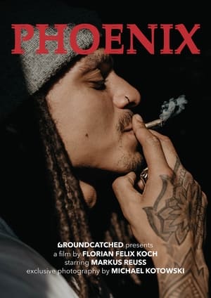 Poster PHOENIX 2020