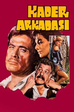 Poster Kader Arkadaşı (1981)