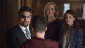 Arrow: Season 2 Episode 15 – The Promise